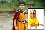 ‘Entertainment’ canine to do cameo in ‘Baal Veer’
