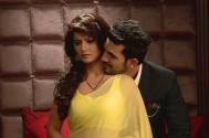 Ritik and Shesha to get intimate in Naagin