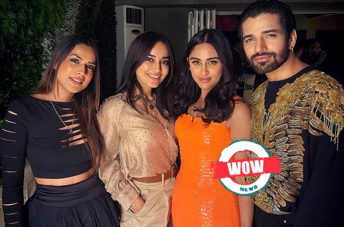 Krystle Dsouza’s birthday celebration: Surbhi Jyoti, Ekta Kapoor and others party hard; Vishal Singh says, ‘Finding friends with the same mental disorder..